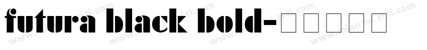futura black bold字体转换